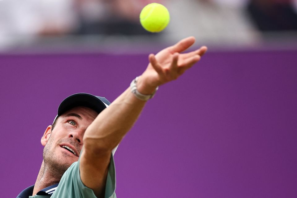 更广泛的社 更广泛的社